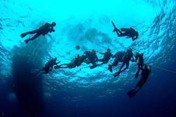 Lanzarote Dive Centre - Canary Islands. PADI Dive Master.